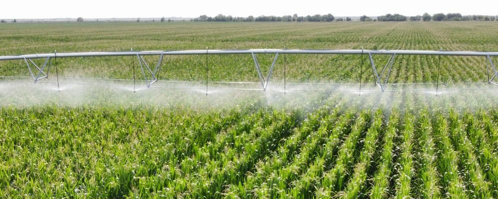 campos de regadío en colombia